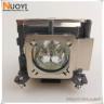 Lamp for Sanyo PLC-XD2200 (POA-LMP142)