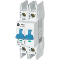ALLEN BRADLEY 1489-A2D-100 INDUSTRIAL CIRCUIT BREAKER, 2-POLE, 480Y/277V, 10A, D TRIP CURVE (10.20 IP)