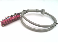 ALLEN BRADLEY 1492-CABLE10C CABLE ASSEMBLY PRE WIRED FOR DIGITAL I/O MOD 1M