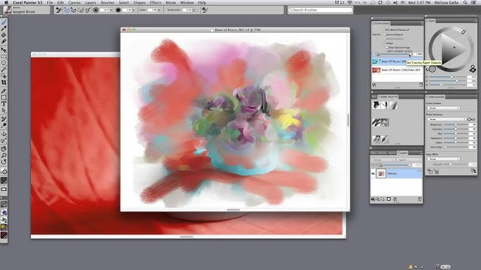 Программное обеспечение Painter X3 DVD PTRX3IEPCMEU Программное обеспечение Painter X3 DVD PTRX3IEPCMEU