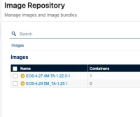 CVP 9.0 Upgrade E Delivery