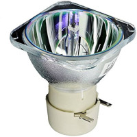 SAMSUNG LAMP SP-A600 BP96-02183A DPL1221P 1181-7 BULB