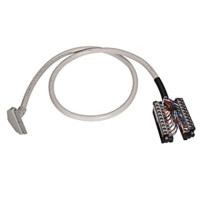 ALLEN BRADLEY 1492-CAB010C69 PRE-WIRED CABLE FOR DIGITAL I/O MODULES, CABLE TYPE C69, 20 CONDUCTOR, 22 AWG, W/ 1769-RTBN10 CONNECTOR, 1.0 METER (3.28 FEET)