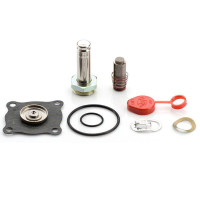 ASCO 166-249 REBUILD KIT 8318 DC