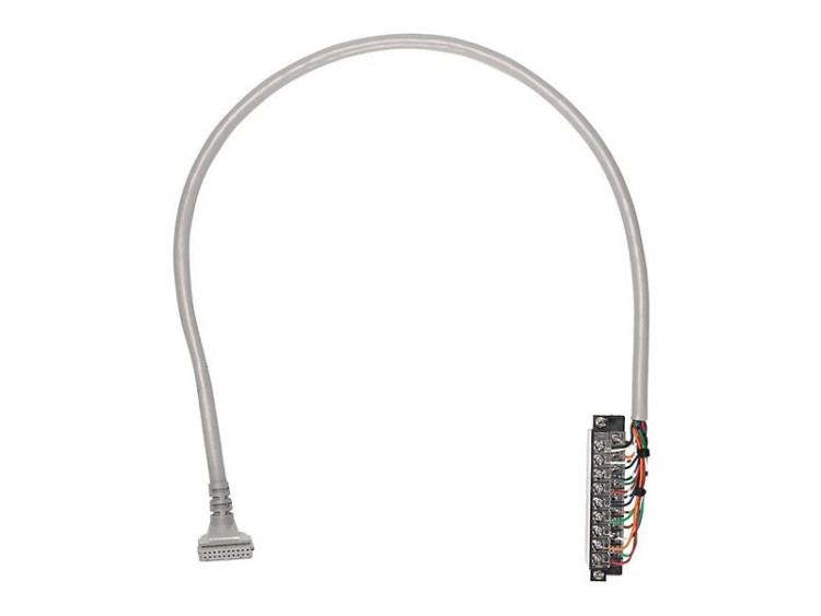 ALLEN BRADLEY 1492-CAB010A69 PREWIRED CABLE FOR 1769-IA16 MODULE, 20 CONDUCTOR, #22 AWG, W/1769-RTBN18 AND 20-PIN IFM CONNECTOR, LENGTH 1.0 METER (3.28 FEET)
