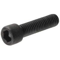 ACCUDYNE INDUSTRIES 25127 LMI SCREW 10 24 X 450 RH SS
