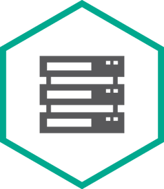 Право пользования на Kaspersky Security KL4221RAMFR Право пользования на Kaspersky Security KL4221RAMFR