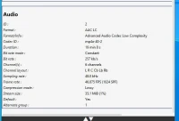 OPTION, BACKUP LICENSE, AAC/HE-AAC 2XST