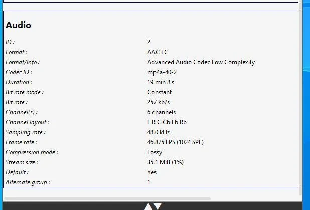 OPTION, BACKUP LICENSE, AAC/HE-AAC 2XST OPTION, BACKUP LICENSE, AAC/HE-AAC 2XST