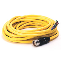 ALLEN BRADLEY 889M-F12X9AE-10 CORDSET M23 12 PIN SRAIGHT FEMALE 250V 8A