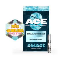 ACE 1581800 SK-CA,NA,HA 4 X 8