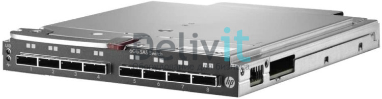 HP StorageWorks 6Gb SAS Blade Switch to communicate with P2000sa (8 external SFF8088 ports) Single switch HP StorageWorks 6Gb SAS Blade Switch to communicate with P2000sa (8 external SFF8088 ports) Single switch