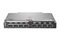 HP StorageWorks 6Gb SAS Blade Switch to communicate with P2000sa (8 external SFF8088 ports) (incl. 2 switches)