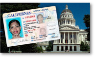 15600 SDH Upgrade License for R9.1.0, Right To Use License