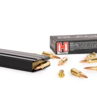 ICM HOSTED GENERIC ARS PG