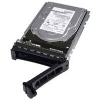HDD Dell/1TB Near Line SAS 6Gbps 7.2k 3.5" HD Hot Plug Fully Assembled - Kit HDD Dell/1TB Near Line SAS 6Gbps 7.2k 3.5" HD Hot Plug Fully Assembled - Kit