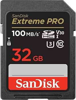 Носитель SDHC 32Gb Class10 Sandisk SDSDXS-032G-X46 Носитель SDHC 32Gb Class10 Sandisk SDSDXS-032G-X46