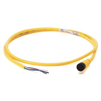 ALLEN BRADLEY 889N-M8AF-2 MALE CORDSET,MINI-PLUS