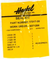 ACCUDYNE INDUSTRIES 17317-452 SEAL KIT,PS,DXHW/DSXHW