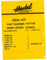 ACCUDYNE INDUSTRIES 17317-602 SEAL KIT,PS,DXHW/DSXHW