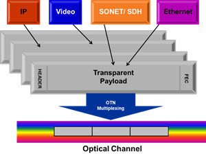 ES+ Optical Transport Network License with G.709/FEC ES+ Optical Transport Network License with G.709/FEC