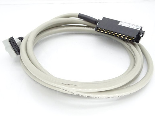ALLEN BRADLEY 1492-CAB025E69 PRE-WIRED CABLE FOR DIGITAL I/O MODULES, CABLE TYPE E69, 20 CONDUCTOR, 22 AWG, W/ 1769-RTBN18 CONNECTOR, 2.5 METER (8.2 FEET) ALLEN BRADLEY 1492-CAB025E69 PRE-WIRED CABLE FOR DIGITAL I/O MODULES, CABLE TYPE E69, 20 CONDUCTOR, 22 AWG, W/ 1769-RTBN18 CONNECTOR, 2.5 METER (8.2 FEET)