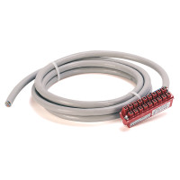 ALLEN BRADLEY 1492-CABLE025RTBR PRE-WIRED CABLE FOR DIGITAL I/O MODULES, CABLE TYPE RTBR, 20 CONDUCTOR (2 NOT CONNECTED TO THE RTB), 18 AWG, W/ 1746-RT25R CONNECTOR, 2.5 METER (8.2 FEET)