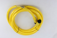 ALLEN BRADLEY 889N-F5AFNU-12F CABLE QD CORDSET 5PIN MINI STRAIGHT 12FT