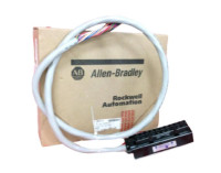 ALLEN BRADLEY 1492CABLE10TBNH CABLE ASSEMBLY PRE WIRED FOR DIGITAL I/O MOD 1M