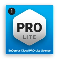 1 Gbps License