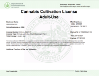 Regular ICM Agent License Certificate