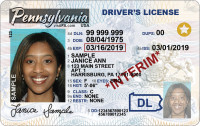 MDS 9222i DMM Temporary License - 180 days only
