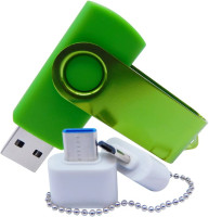 C10000 PRE 1GB Flash Disk