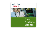 ES20 Adv License: With MVPN, 6VPE, and L3 IP/MPLS VPN.