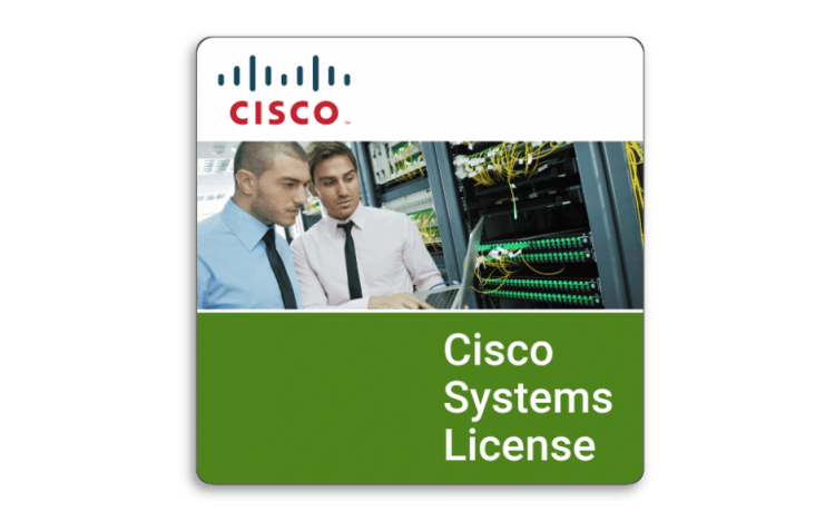 ES20 Adv License: With MVPN, 6VPE, and L3 IP/MPLS VPN.