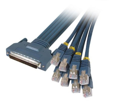 1 Meter 8 PRI DFC Cable - Male RJ45