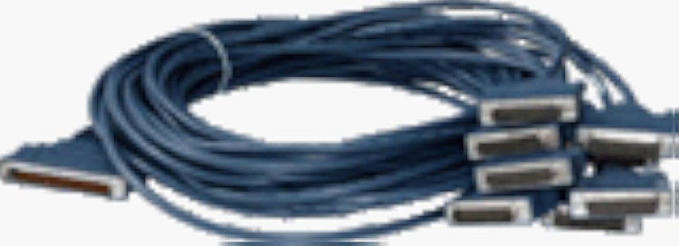 2 Meter 8 PRI DFC Cable - Female RJ45 2 Meter 8 PRI DFC Cable - Female RJ45