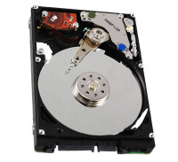 250 GB SATA-II Disk Drive for WAE-512