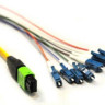 Multi-fiber patchcord - MPO to 8xLC - 6m