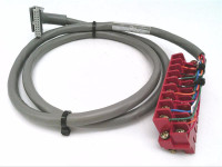 ALLEN BRADLEY 1492-CABLE10A CABLE ASSEMBLY PRE WIRED FOR DIGITAL I/O MOD 1M