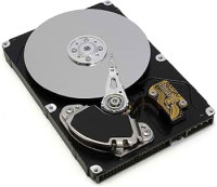 300 GB SCSI Disk Drive for WAE-7326