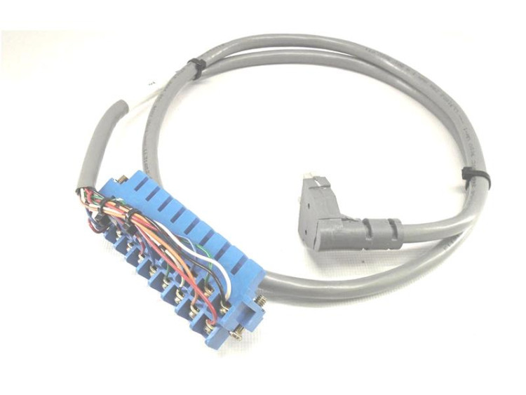 ALLEN BRADLEY 1492-CABLE10E CABLE ASSEMBLY PRE WIRED FOR DIGITAL I/O MOD 1M ALLEN BRADLEY 1492-CABLE10E CABLE ASSEMBLY PRE WIRED FOR DIGITAL I/O MOD 1M