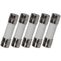 2A/125V ceramic fuse (with holder), quantity 10 each