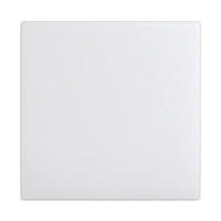 Wide blank for 12000 series chassis