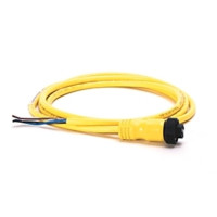 ALLEN BRADLEY 889N-F4AE-6F MINI/MINI PLUS, FEMALE, STRAIGHT, 4-PIN, PVC CABLE, YELLOW, UNSHIELDED, IEC COLOR CODED, NO CONNECTOR, 6 FEET (1.83 METERS)