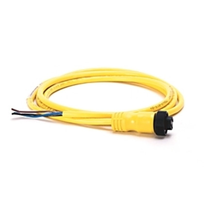 ALLEN BRADLEY 889N-F4AE-6F MINI/MINI PLUS, FEMALE, STRAIGHT, 4-PIN, PVC CABLE, YELLOW, UNSHIELDED, IEC COLOR CODED, NO CONNECTOR, 6 FEET (1.83 METERS)
