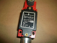 ALLEN BRADLEY CM-22 SAFETY LIMIT SWITCH W/SNAP ACTION ROLLER 10A 500V