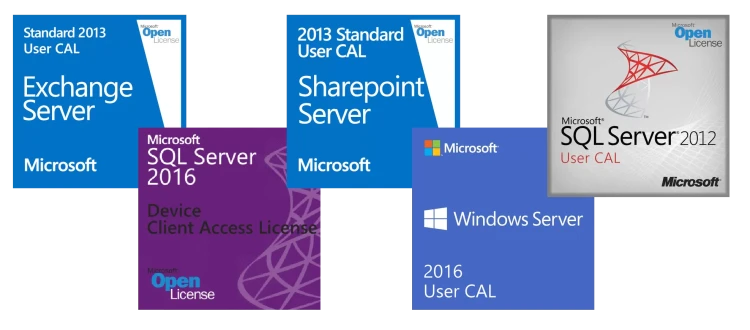 10 Server Bundle For MS Office SharePoint Server PEPs