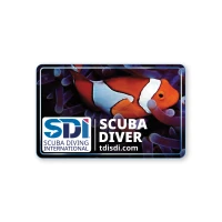 D9901 Gateway HD-SDI License (1 per GWY card)