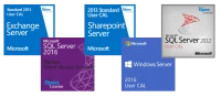 Enterprise License For MS Office SharePoint Server PEPs